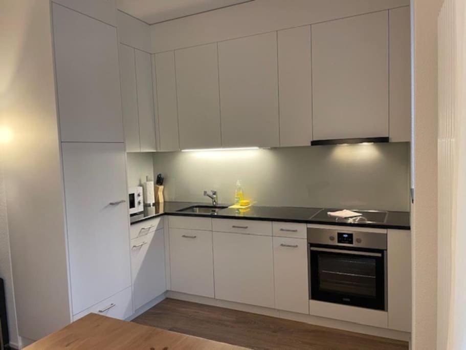 Elegant 2Br Apartment - Canal3 Zürich Buitenkant foto